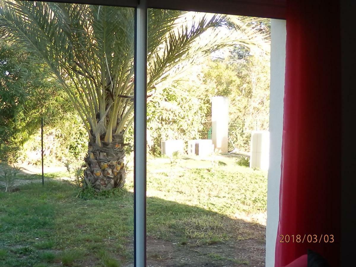 location vacances Linguizzetta Exterior foto