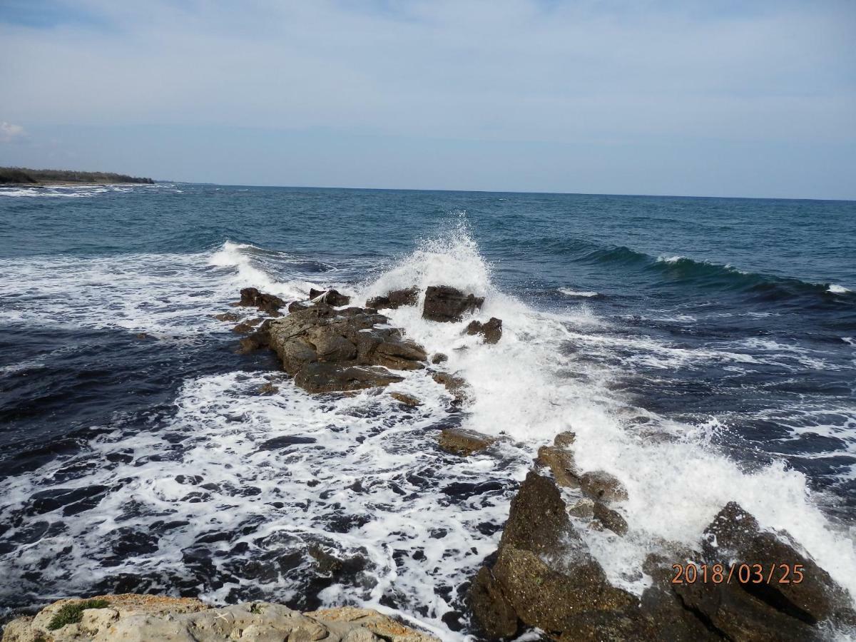 location vacances Linguizzetta Exterior foto