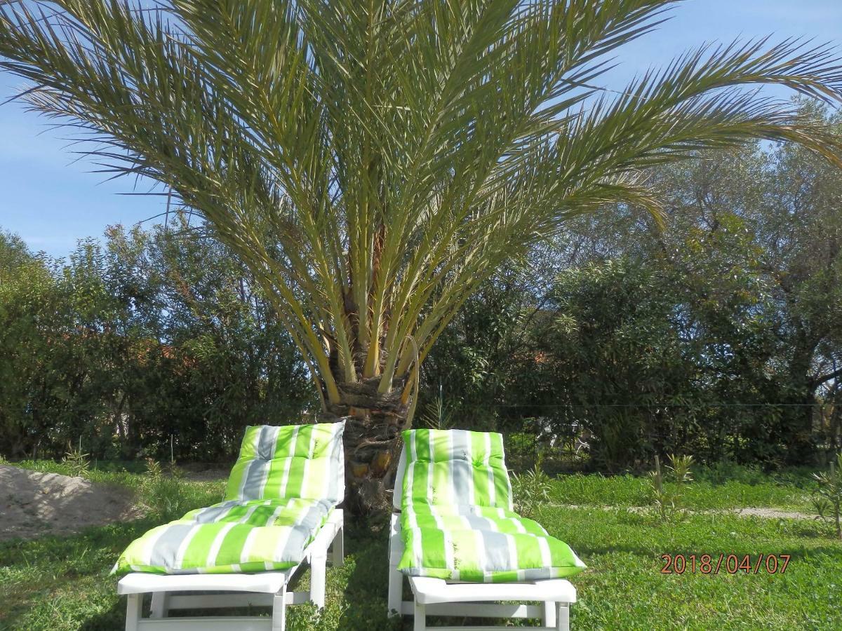 location vacances Linguizzetta Exterior foto