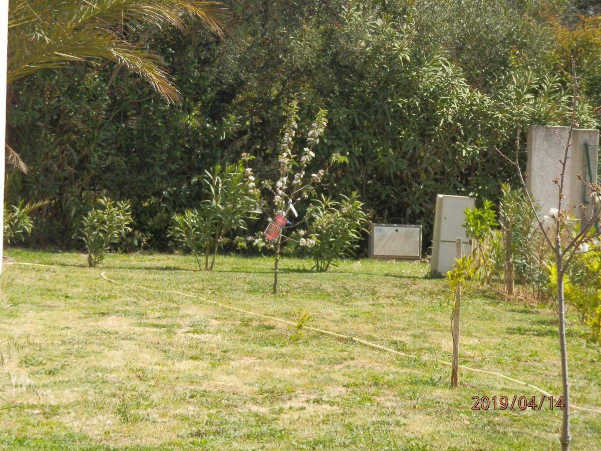 location vacances Linguizzetta Exterior foto